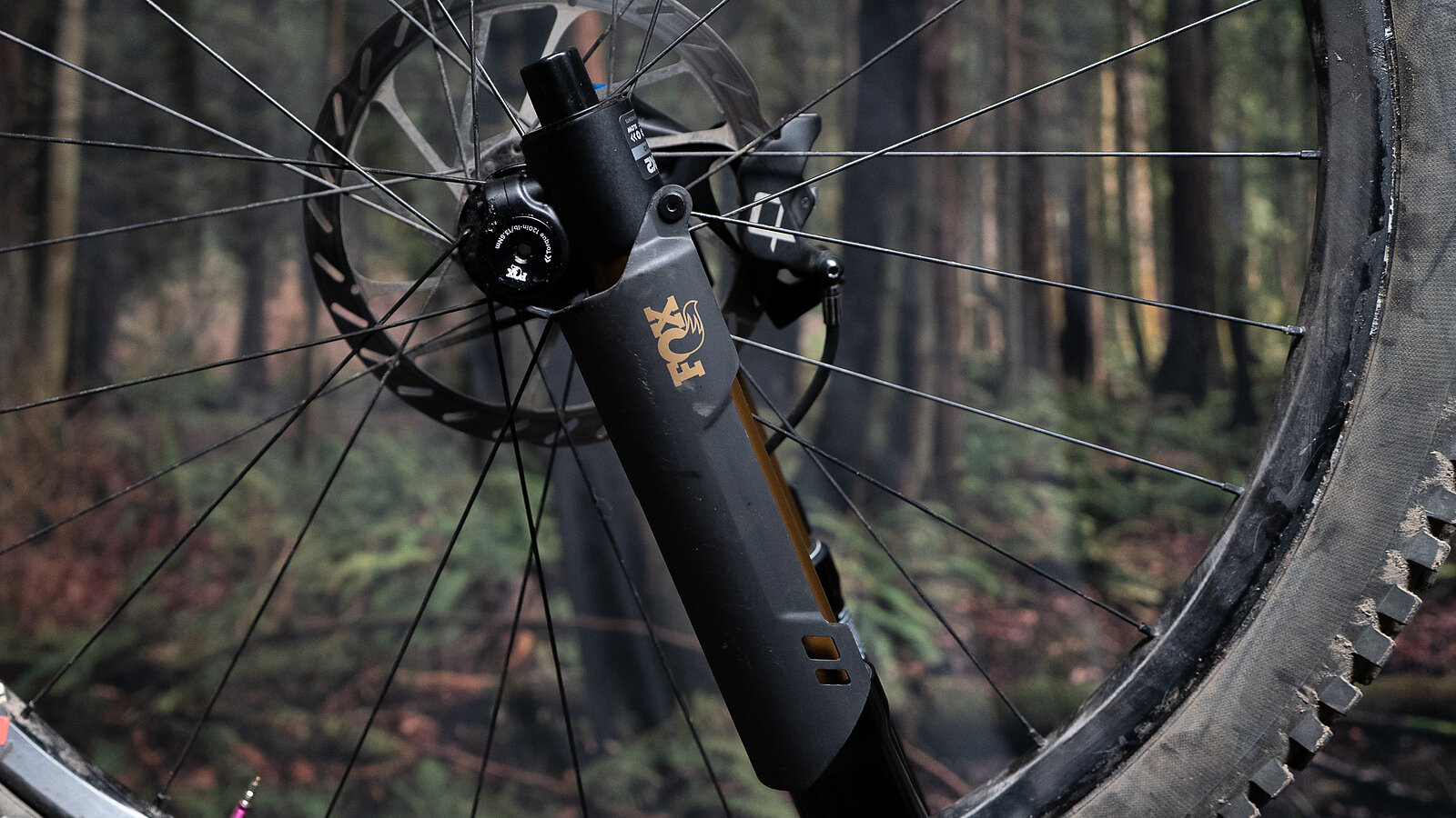 Fork Review | Fox Podium Factory | Freehub Magazine